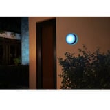 Philips HUE White & Color Ambiance Daylo Wandleuchte, LED-Leuchte schwarz