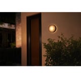 Philips HUE White & Color Ambiance Daylo Wandleuchte, LED-Leuchte schwarz