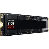 9100 PRO 2 TB, SSD