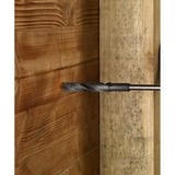 Bosch Professional PRO Wood HSS Schalungs- und Installationsbohrer, SDS-plus, Ø 20mm Länge 400mm