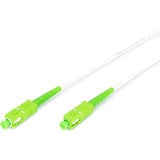 Digitus Glasfaser-Simplex-Patchkabel, stahlarmiert, Singlemode, SC/APC > SC/APC weiß, 10 Meter
