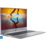 Medion Akoya S15449 (30031342), Notebook silber, Windows 10 Home 64-Bit