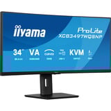 iiyama ProLite XCB3497WQSNP-B1, LED-Monitor 86.4 cm (34 Zoll), schwarz (matt), WQHD, VA, Curved, Adaptive-Sync, USB-C, USB-Hub, 120Hz Panel