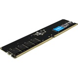 Crucial DIMM 16 GB DDR5-4800  , Arbeitsspeicher schwarz, CT16G48C40U5