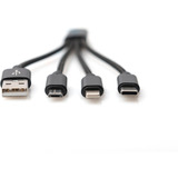 Digitus 3-in-1 Ladekabel, USB-A 2.0 > Lightning + USB-C + Micro-USB schwarz, 0,15 Meter, Laden mit bis zu 10 Watt