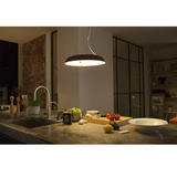 Philips HUE White Ambiance Amaze Pendelleuchte, LED-Leuchte schwarz, inkl. Dimmschalter