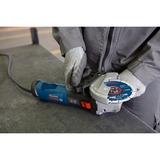Bosch Professional X-LOCK Winkelschleifer GWX 17-125 S Professional blau/schwarz, 1.700 Watt