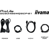 iiyama G-Master GCB3486WQSCP-B1 GOLD PHOENIX, Gaming-Monitor 86.4 cm (34 Zoll), schwarz, WQHD, Curved, VA, Free-Sync Premium, USB-C, 240Hz Panel