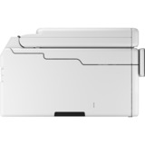 Canon MAXIFY GX6550, Multifunktionsdrucker grau, USB, WLAN, Scan, Kopie