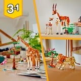 LEGO 31150 Creator 3-in-1 Tiersafari, Konstruktionsspielzeug 