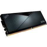 ADATA DIMM 16 GB DDR5-5600  , Arbeitsspeicher schwarz, AX5U5600C3616G-CLABK, XPG Lancer, INTEL XMP, AMD EXPO
