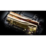 G.Skill DIMM 48 GB DDR5-6000 (2x 24 GB) Dual-Kit, Arbeitsspeicher gold, F5-6000J2636H24GX2-TR5NG, Trident Z5 Royal, AMD EXPO