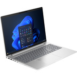 HP ProBook 4 G1iR (AD2P5ET), Notebook silber, Intel® Core™ 7 150U, Intel® Graphics, 15.96484375 GB DDR5, 512 GB (512 GB SSD), Windows 11 Pro