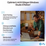 HP OmniBook Ultra 14-fd0097ng, Notebook silber, AMD Ryzen AI 9 HX 375, AMD Radeon 890M, 32 GB LPDDR5X, 1 TB (1 TB SSD), Windows 11 Home 64-Bit