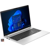 HP ProBook 455 G10 (816J6EA), Notebook silber, Windows 11 Pro, 512 GB SSD