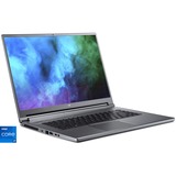 Acer Predator Triton 500 SE (PT516-51s-72LN), Gaming-Notebook grau, Windows 11 Home 64-Bit, 165 Hz Display