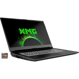 XMG APEX 17 (10505925), Gaming-Notebook grau, Windows 10 Home 64-Bit, 144 Hz Display, 1 TB SSD