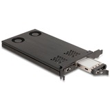 DeLOCK Delock PCI Express x16 Karte Wechselrahmen für 2 x M.2 NVMe SSD - Bifurcation 