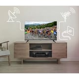 Medion LIFE MD 840003 mit DVD-Player, LED-Fernseher 100.3 cm (40 Zoll), schwarz, FullHD, Triple Tuner, Mediaplayer