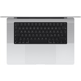 Apple MacBook Pro (16") 2024 CTO, Notebook silber, 128 GB, 1 TB (1 TB SSD), M4 Max, MacOS, Deutsch