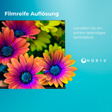 Toshiba 43LV3F63DA, LED-Fernseher 108 cm (43 Zoll), schwarz, FullHD, VIDAA-Betriebssytem