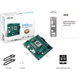 ASUS PRO A620M-DASH-CSM, Mainboard grün