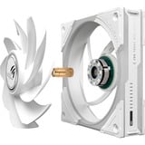ASUS ROG Eurux GR120 ARGB, Gehäuselüfter weiß, Reverse, 3er Pack, 122 mm