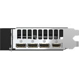 GIGABYTE GeForce RTX 5060 AORUS ELITE 8G, Grafikkarte DLSS 4, 3x DisplayPort, 1x HDMI 2.1