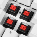 Sharkoon SKILLER SGK3 White, Gaming-Tastatur weiß, US-Layout, Kailh Red
