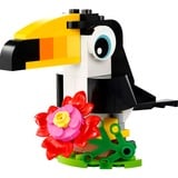 LEGO 30688 Creator 3-in-1 Tropischer Tukan, Konstruktionsspielzeug 