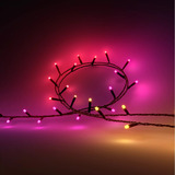 Philips HUE White & Color Ambiance Festavia Lichterkette 40m 