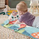 Fisher-Price Planet Friends Rolli-Roll Panda Spielmatte für Babys mit 2 Spielzeugen 