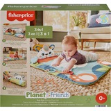 Fisher-Price Planet Friends Rolli-Roll Panda Spielmatte für Babys mit 2 Spielzeugen 