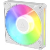ARCTIC BioniX P14 A-RGB, Gehäuselüfter weiß/weiß, 3er Pack, 140 mm