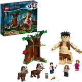 LEGO 75967 Harry Potter Der Verbotene Wald: Begegnung mit Umbridge, Konstruktionsspielzeug