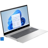 HP Envy 17-cw0078ng, Notebook silber, Windows 11 Home 64-Bit, 43.9 cm (17.3 Zoll), 1 TB SSD
