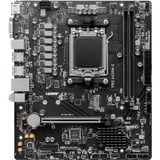 MSI PRO A620M-E, Mainboard 