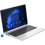 HP ProBook 440 G10 (859Z5EA), Notebook silber, Windows 11 Pro 64-Bit, 512 GB SSD
