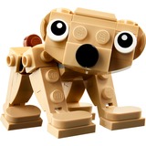 LEGO 30666 Creator 3-in-1 Geschenkset mit Tieren, Konstruktionsspielzeug Polybag