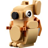 LEGO 30666 Creator 3-in-1 Geschenkset mit Tieren, Konstruktionsspielzeug Polybag