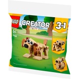 LEGO 30666 Creator 3-in-1 Geschenkset mit Tieren, Konstruktionsspielzeug Polybag
