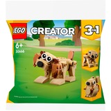LEGO 30666 Creator 3-in-1 Geschenkset mit Tieren, Konstruktionsspielzeug Polybag