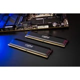 Crucial DIMM 64 GB DDR5-6000 (2x 32 GB) Dual-Kit, Arbeitsspeicher schwarz, CP2K32G60C40U5B, PRO OC, INTEL XMP, AMD EXPO