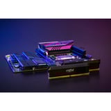 Crucial DIMM 64 GB DDR5-6000 (2x 32 GB) Dual-Kit, Arbeitsspeicher schwarz, CP2K32G60C40U5B, PRO OC, INTEL XMP, AMD EXPO