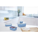 Emsa CLIP & CLOSE Color Frischhaltedose 2,2 Liter blau/transparent, rechteckig, mit Deckel