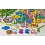 Pegasus Takenoko, Brettspiel 