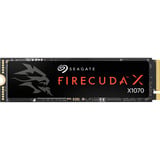 FireCuda X1070 1 TB, SSD