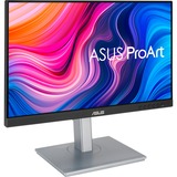 ASUS PA247CV, LED-Monitor 61 cm (24 Zoll), schwarz/silber, FullHD, IPS, USB-C