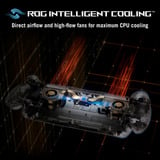ASUS ROG XBOX Ally X20 Anniversary Edition	, Handheld-Konsole schwarz