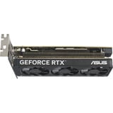 ASUS GeForce RTX 5060 LP BRK OC 8 GB, Grafikkarte DLSS 4, 1x DisplayPort, 2x HDMI 2.1